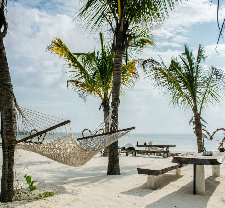 Reasons To Visit Zanzibar Islands